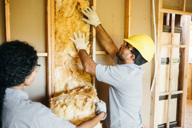 Eco-Friendly or Green Insulation Solutions in Waskom, TX